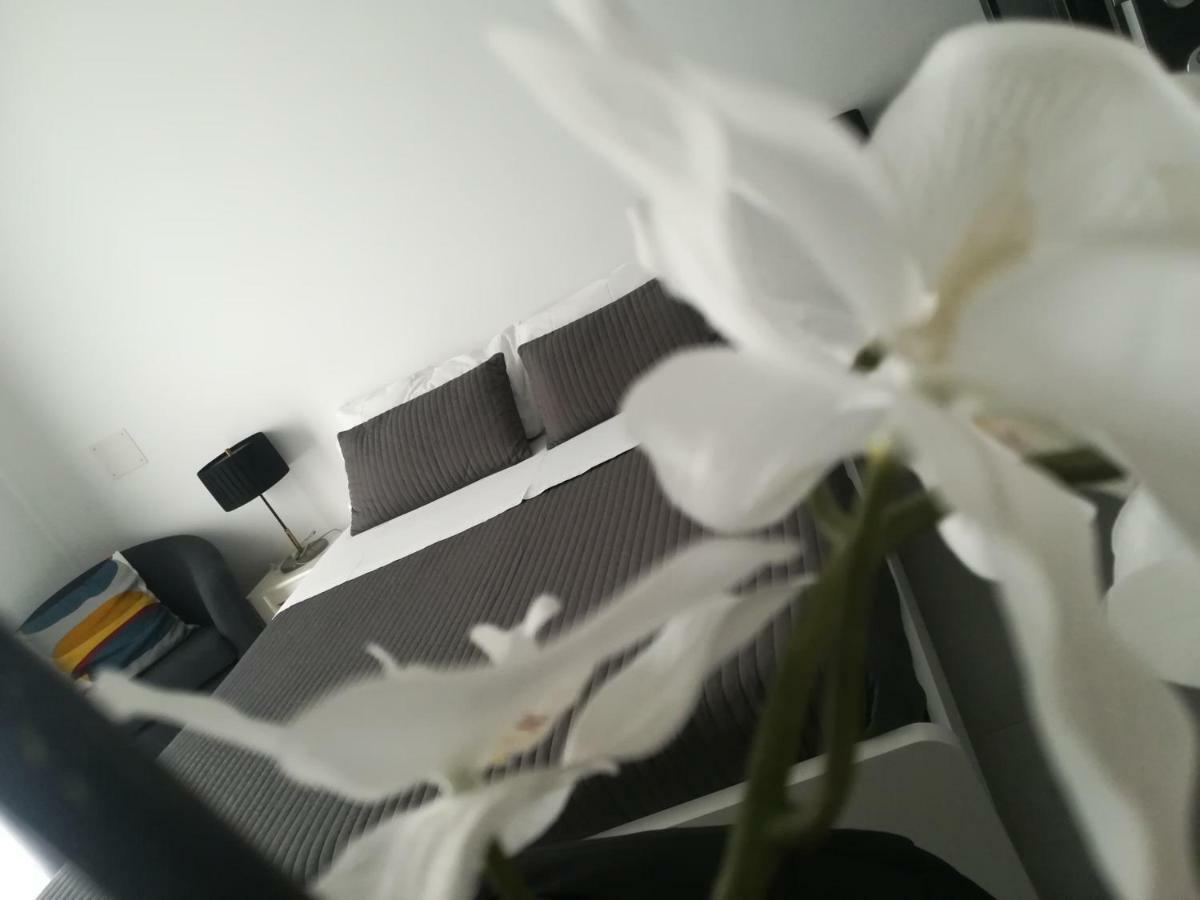 B&B Roda Barocco Noto Bagian luar foto